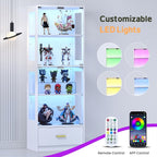 Lamtor Display Cabinet with Glass Doors - Image 3