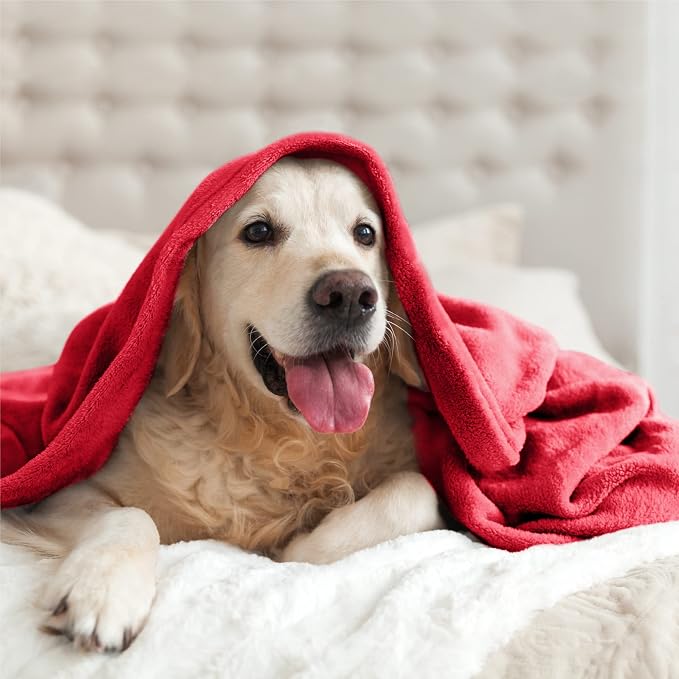 BEDELITE Fleece Blanket Soft Plush King Size Bed Blanket Red 108"x90" | Ultra - Image 9