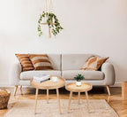 Round Coffee Table Set of 2, Natural Boho Coffee Tables, Small Mid Century - Image 6