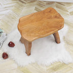 Natural Shape Solid Wood Stump Stool 20"x13"x18" Cedar Root End Table Rustic - Image 6