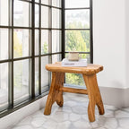 Natural Shape Solid Wood Stump Stool 20"x13"x18" Cedar Root End Table Rustic - Image 7