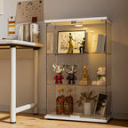 FANYUSHOW Glass Display Cabinet by FANYUSHOW
