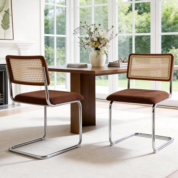 Zesthouse Rattan Dining Chairs Set of 2, Mid Century Modern Dining Room Chairs by Zesthouse