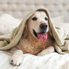 BEDELITE Fleece Blanket Soft Plush Queen Size Bed Blanket Linen 90"x90" | Ultra - Image 9
