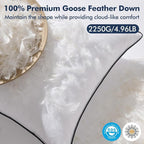 MIULEE Goose Feather Down 28x28 Euro Pillow Insert Set of 2 - Image 2