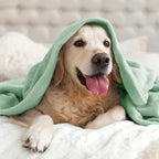 BEDELITE Fleece Blanket Soft Plush King Bed Blanket Mint Green 108"x90" | Ultra - Image 7