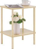 Apicizon 2 Tier End Table, Small Side Table by APICIZON