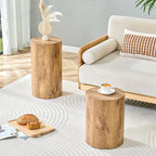 End Table Set of 2, Modern Round Side Table Sofa Couch Tables, Living Room - Image 4