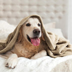 BEDELITE Fleece Blanket Soft Plush Throw - Image 7
