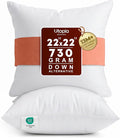 Utopia Bedding 22x22 Pillow Inserts, 2 Pack | Indoor cushion inserts by UTOPIABEDDING