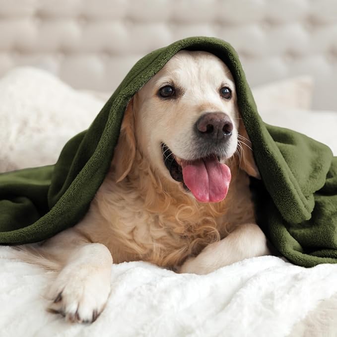 BEDELITE Fleece Blanket Soft Plush Twin Size Blanket Olive Green 60"x80" | - Image 8