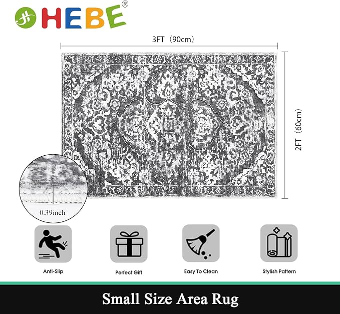 HEBE Indoor Door Mat 2'x3', Washable Welcome Mat - Image 2