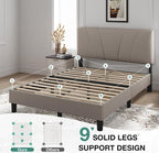 Novilla Queen Bed Frame with Headboard, Bed Frame Queen Size with Wood Slats - Image 8