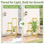 iDavosic.ly Plant Stand Indoor Outdoor, 5 Tier Corner Metal Flower Display - Image 7