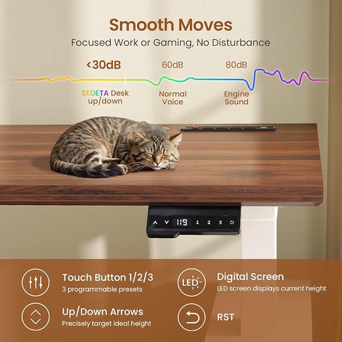 SEDETA Farmhouse Electric Standing Desk, Storage Shelves, Power Outlets - Image 7