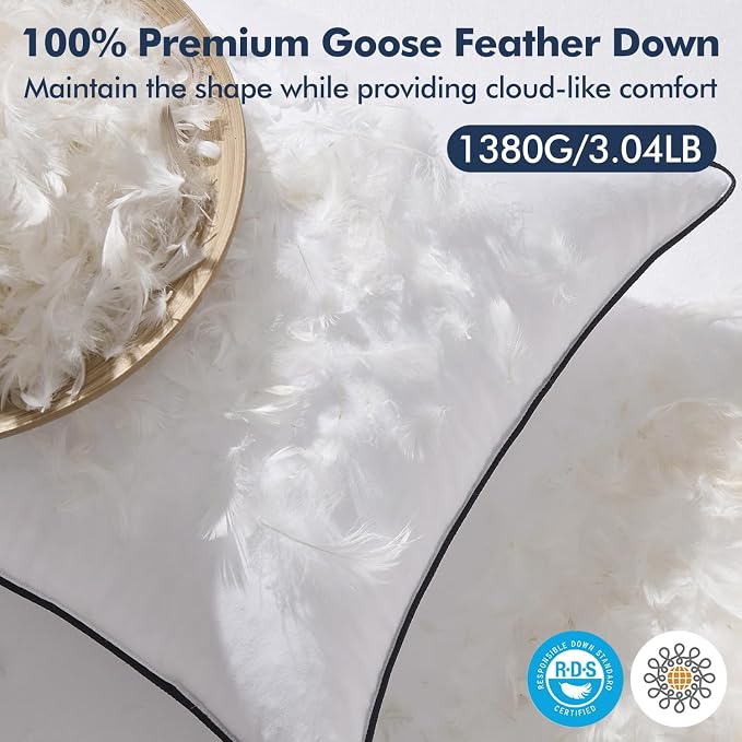 MIULEE Goose Feather Down 22x22 Pillow Insert Set of 2 - Image 2