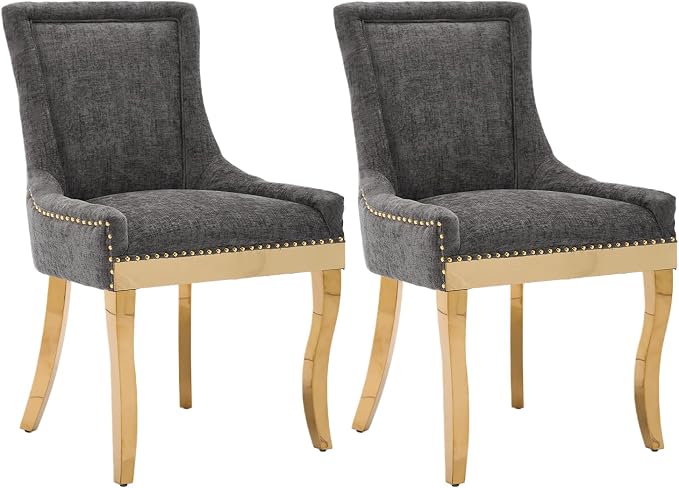 Upholstered Dining Chairs Set of 2, Modern Fabric Side Chairs by MZDOO