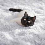 Fluffy Shaggy Area Rug 5x8, Plush Rugs - Image 2