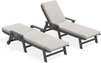SERWALL Outdoor Chaise Lounge Set of 2 by SERWALL