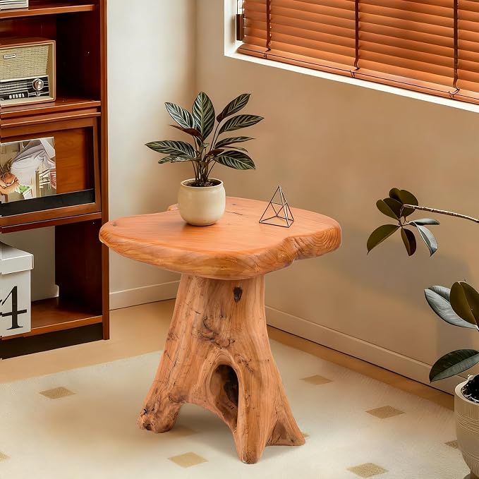 Small Side Table, Freeform Live Edge Wood Stool, Unique Design Natural Plant - Image 5