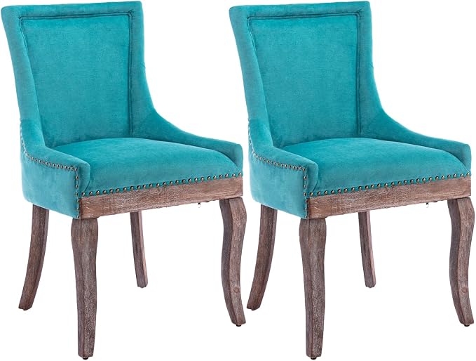 Modern Dining Chairs Set of 2, High Back Dining Chairs Side Chairs by MZDOO