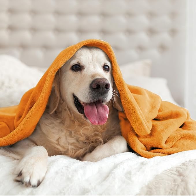 BEDELITE Fleece Blanket Soft Fall Throw - Image 7