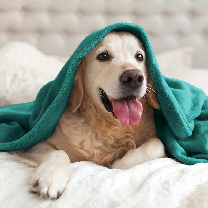 BEDELITE Fleece Blanket Soft Plush Twin Size Blanket Emerald Green 60"x80" | - Image 7