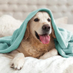 BEDELITE Fleece Blanket Soft Plush Throw - Image 8