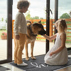 Door Mat Welcome Mat Floor Mat for Entryway, High Traffic Areas | Low Profile - Image 2