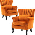 Velvet Accent Chairs Set of 2 by DMFurniture