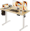 BIZUM Standing Desk Electric Adjustable Computer Desk-Stand up Desk Office by Unknown