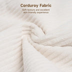 Sofa Bed, Apartment and Sunroom - Image 4