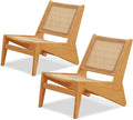 Furlide Rattan Chair 2Pcs, Mid Century Modern Accent Chair, Leisurely Reading by Furlide