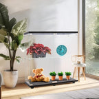 FANYUSHOW Glass Display Cabinet - Image 5