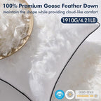 MIULEE Goose Feather Down 26x26 Euro Pillow Insert Set of 2 - Image 2