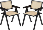 Furlide Rattan Dining Chairs Set of 2, Modern Mid Century Dining Chairs by Furlide