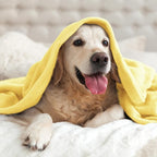 BEDELITE Fleece Blanket Soft Plush Throw - Image 8