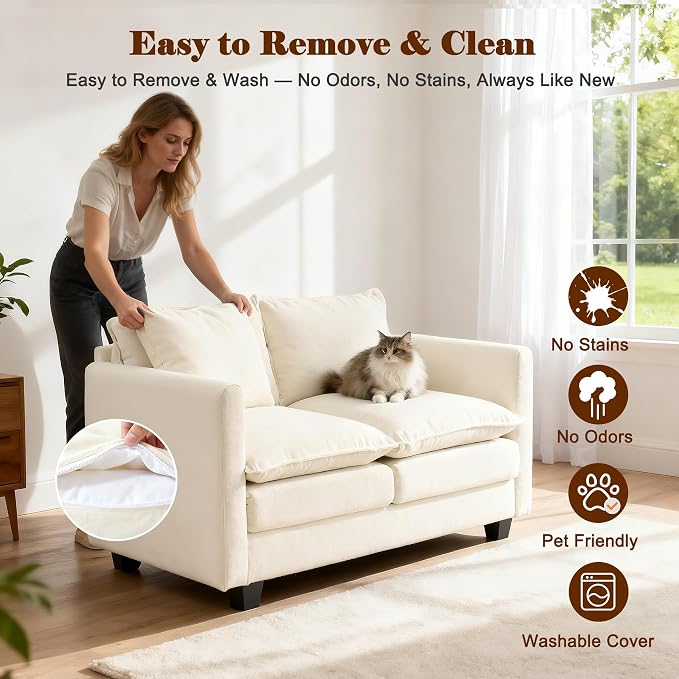 Loveseat Sofa Cloud Sofa Couch 50'', Modern Loveseats 2 Seat Couch 27" Deep Seat - Image 6