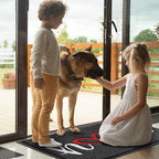 Door Mat Welcome Mat Floor Mat for Entryway, High Traffic Areas | Low Profile - Image 6
