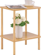 Apicizon 2 Tier End Table, Small Side Table - Image 7
