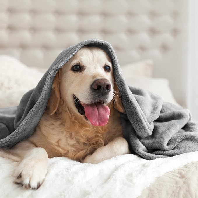 BEDELITE Fleece Blanket Soft Plush Queen Size Bed Blanket Grey 90"x90" | Ultra - Image 9