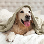 BEDELITE Fleece Blanket Soft Plush Throw - Image 8