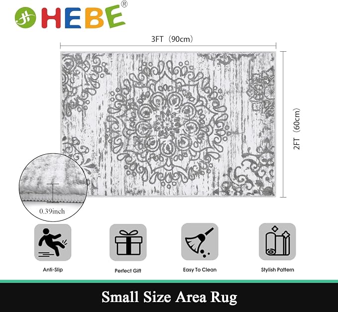 HEBE Indoor Door Mat 2'x3', Washable Welcome Mat - Image 2