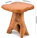 Small Side Table, Freeform Live Edge Wood Stool, Unique Design Natural Plant - Image 2