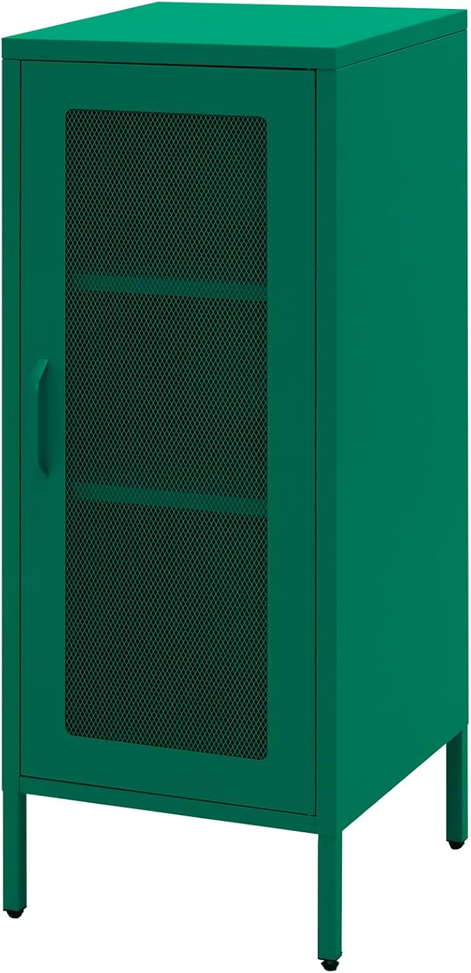 Slim Metal Storage Cabinet by Albad