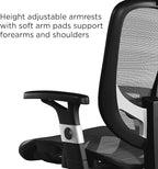Union & Scale Ergonomic Task Chair - Image 4