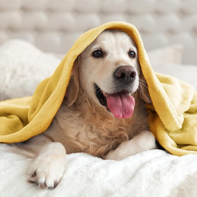 BEDELITE Fleece Blanket Soft Plush Twin Size Blanket Cream Yellow 60"x80" | - Image 9