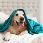 BEDELITE Fleece Blanket Soft Plush Throw - Image 6