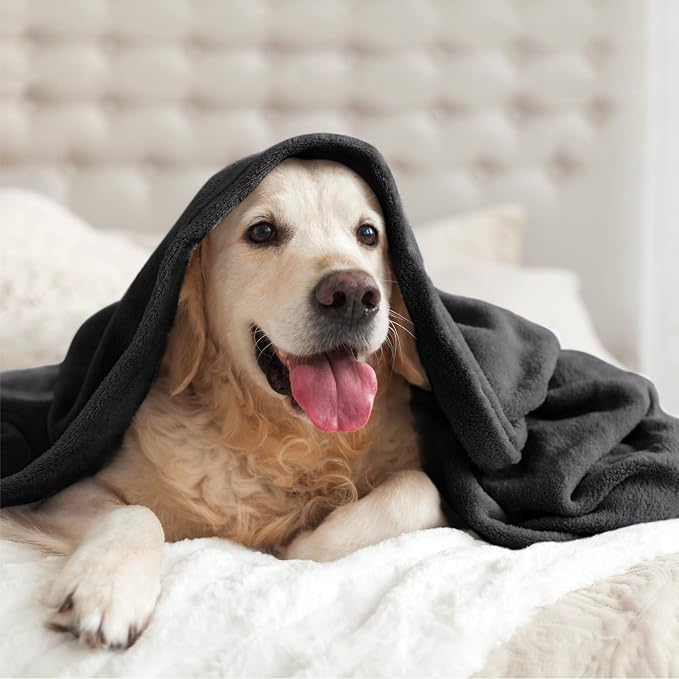 BEDELITE Fleece Blanket Soft Plush Queen Size Bed Blanket Black 90"x90" | Ultra - Image 9