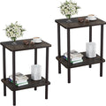 Apicizon 2 Tier End Table Set of 2, Small Side Table by APICIZON